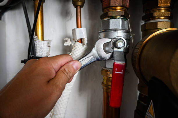 Best Clogged Drain Plumber  in Clearview, WA